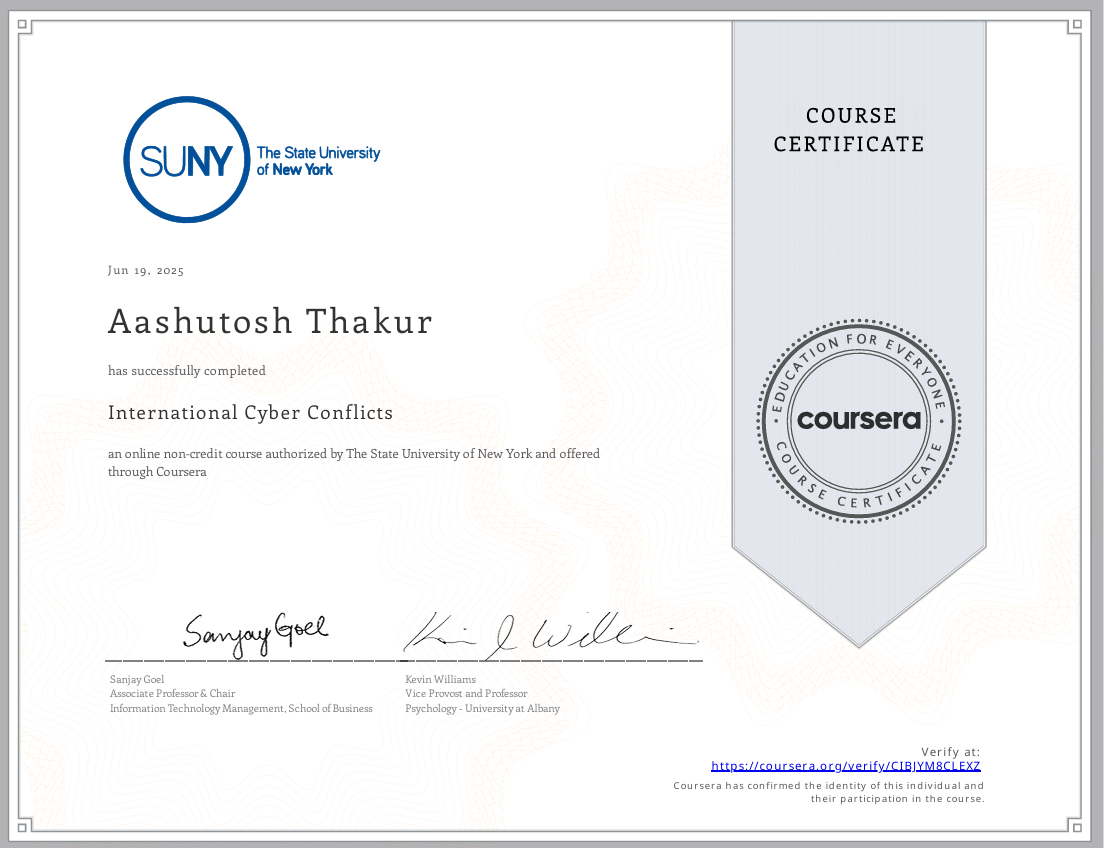 International Cyber Conflict